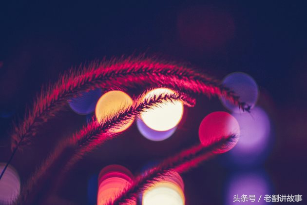 中考满分作文推荐2024排比句,中考必背10篇优秀作文题目