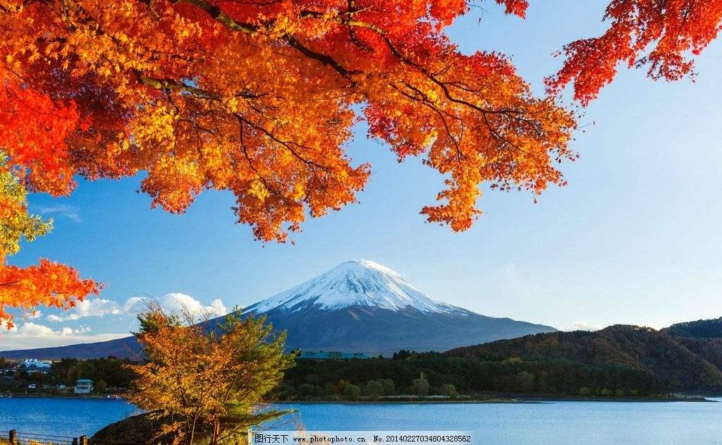 白朴的关于秋天的诗,白朴的关于秋天的诗句