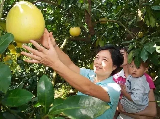 广东省2019年旅游数据分析,广东旅游收入全国第一旅游城