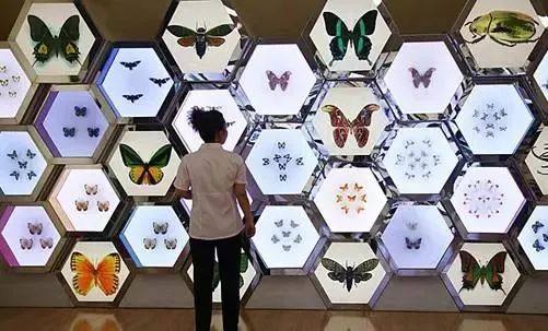 上海地铁的免费景点,上海地铁9号线沿线景点