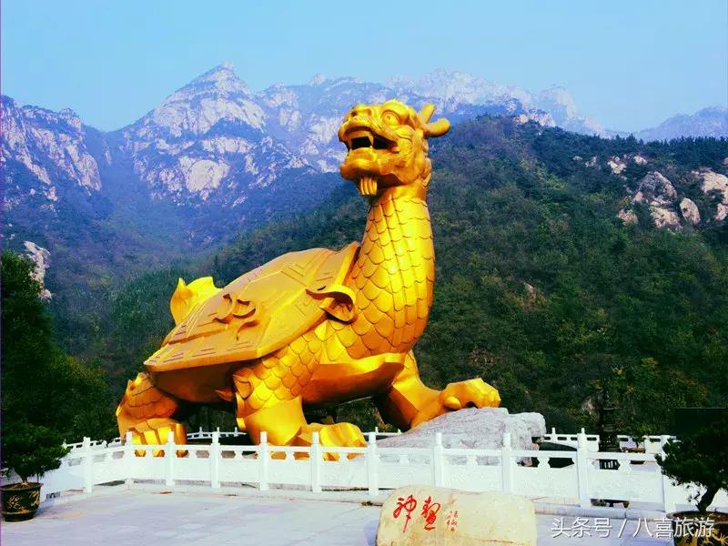 山东什么地方有金矿,国庆怎么玩才有意义