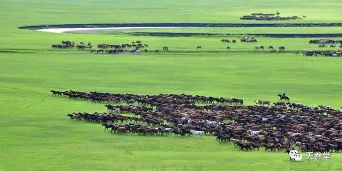 塞北三朝之契丹崛起,塞北三朝契丹崛起