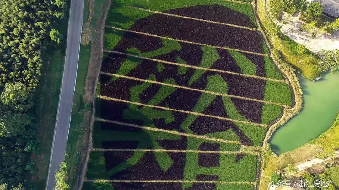 莫干山的“谿”字田又熟了，133㎡精装小独栋也来了！静绝尘氛！