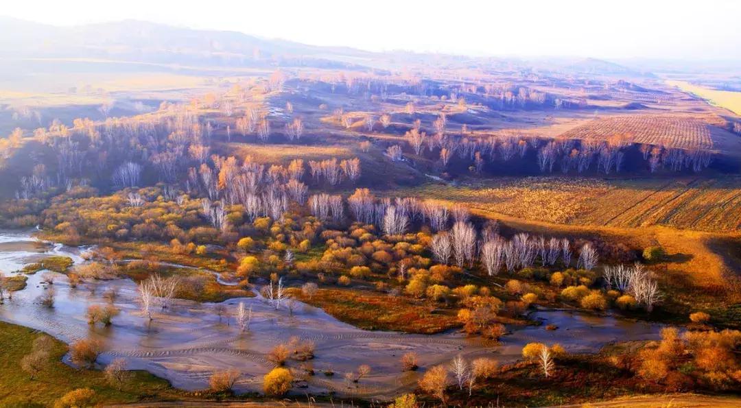 草原风光宛如油画 (呼伦贝尔大草原美图)