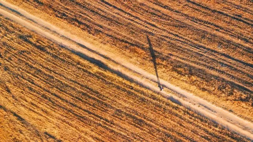 草原风光宛如油画 (呼伦贝尔大草原美图)