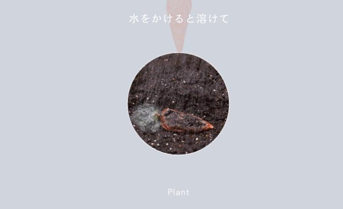 好看的都被你们吃掉了,让这些长得丑的怎么办?