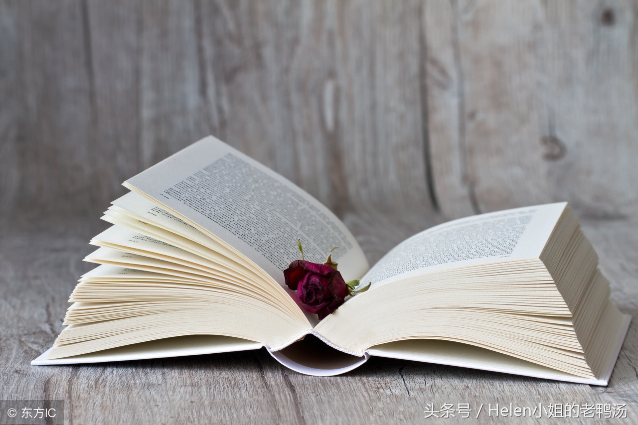 买书如山倒看书如抽丝,读书如抽丝卖书如山倒什么意思