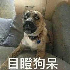 盘点那些神奇的药膏,日本激素药膏有哪些