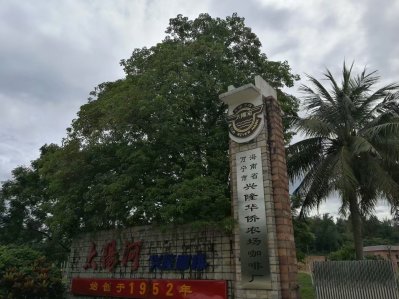 鲁能三亚湾三区,鲁能三亚湾值得买吗