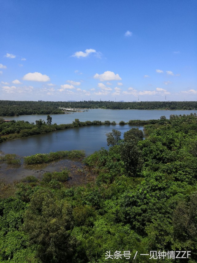 消音伴奏免费教学,伴奏消音版