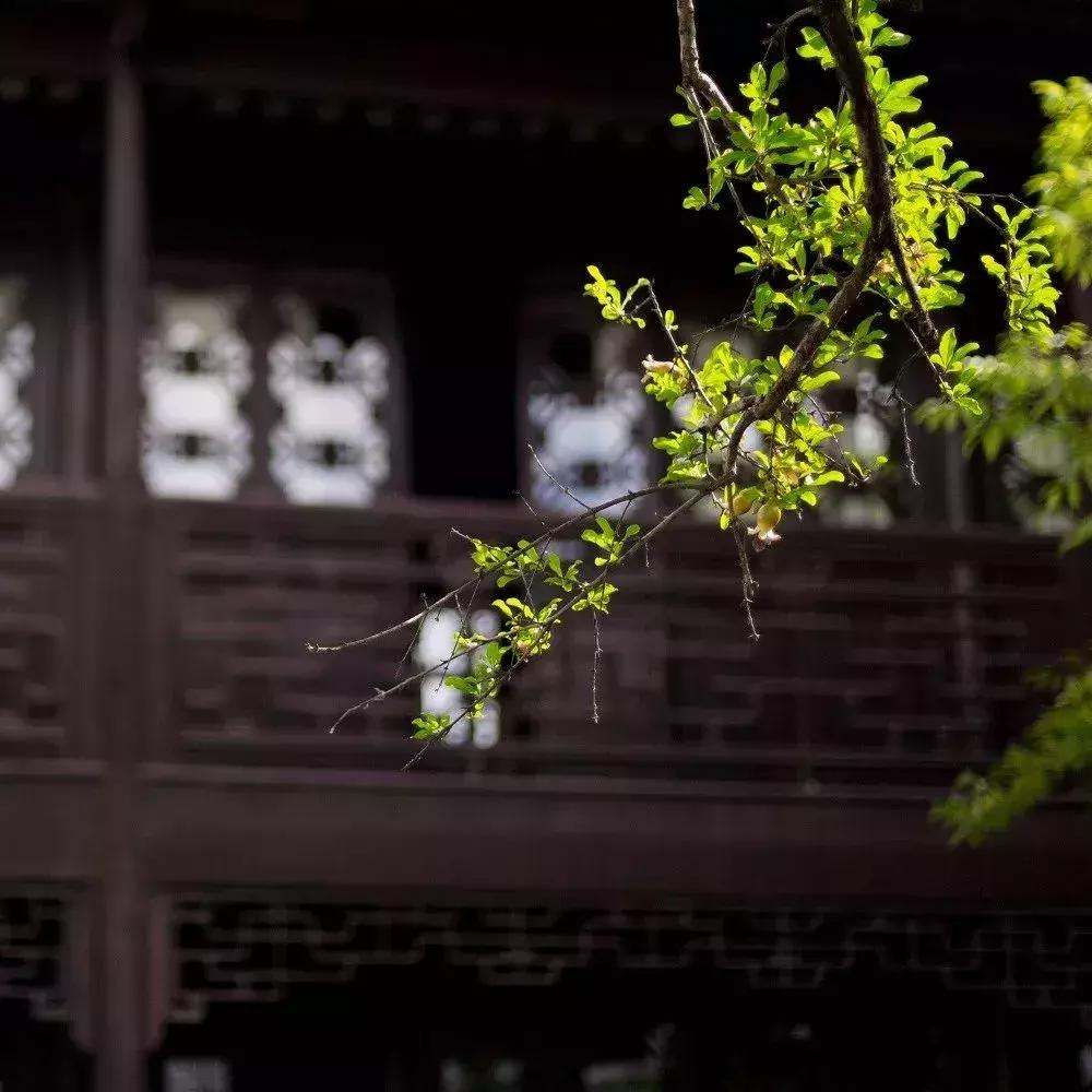 苏州民宿家庭6人,苏州民宿住宿哪里最好又便宜