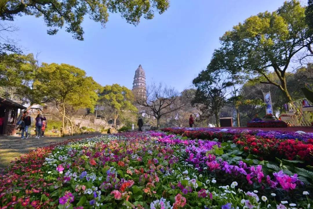 苏州民宿家庭6人,苏州民宿住宿哪里最好又便宜