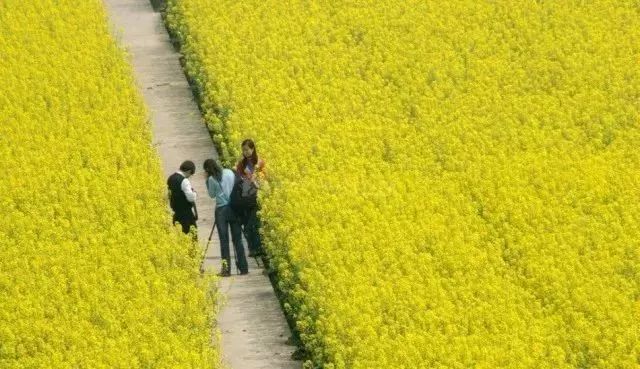 湖南长沙十大高校排名,长沙十大高校