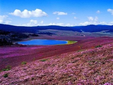 消失的地平线香格里拉,消失的地平线小说免费阅读