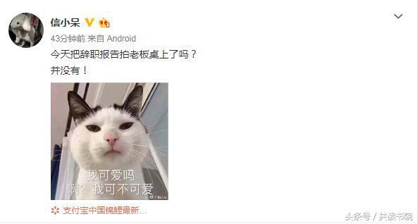 中国锦鲤有福利吗,1200万的锦鲤现在怎么样了