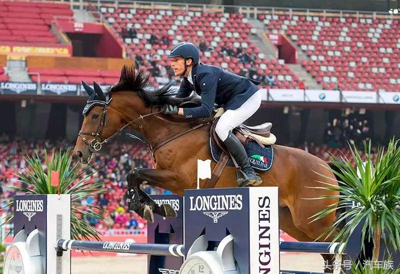 大师赛喊你来吃马术圈最贵狗粮