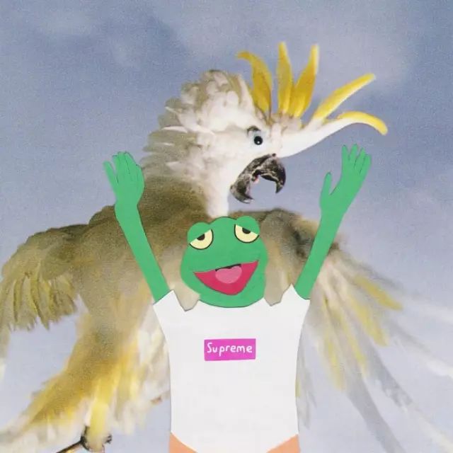 潮牌都是哪些人在穿,穿潮牌的人什么心态