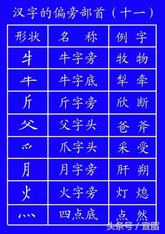 权威专家教你正确的汉字笔顺技巧,专家揭秘汉字正确的笔顺技巧