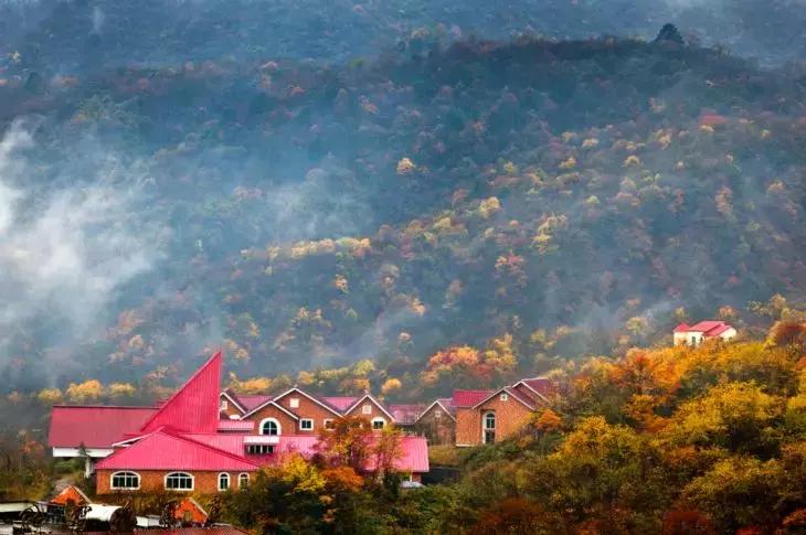 西岭雪山一日游全包,西岭雪山两天一晚自驾游套餐