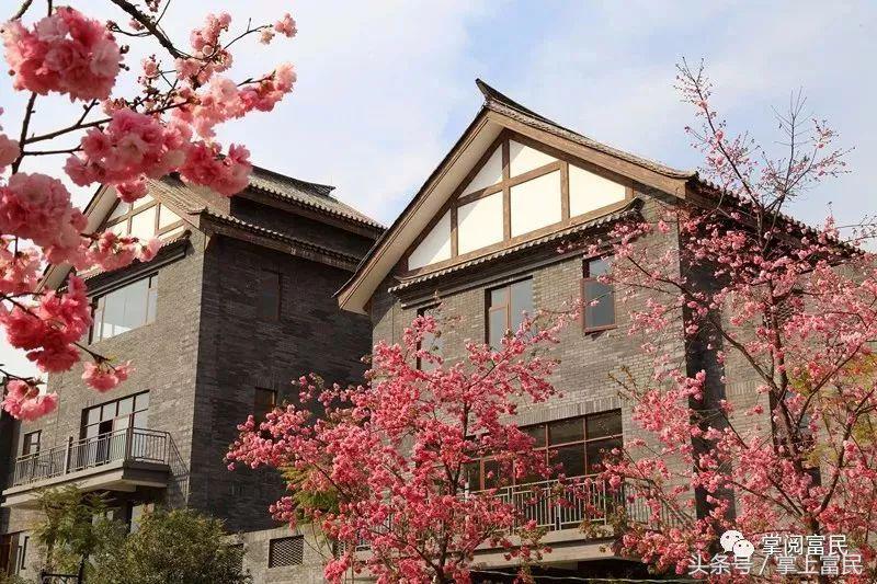 富民赋,富民产业赋能乡村振兴