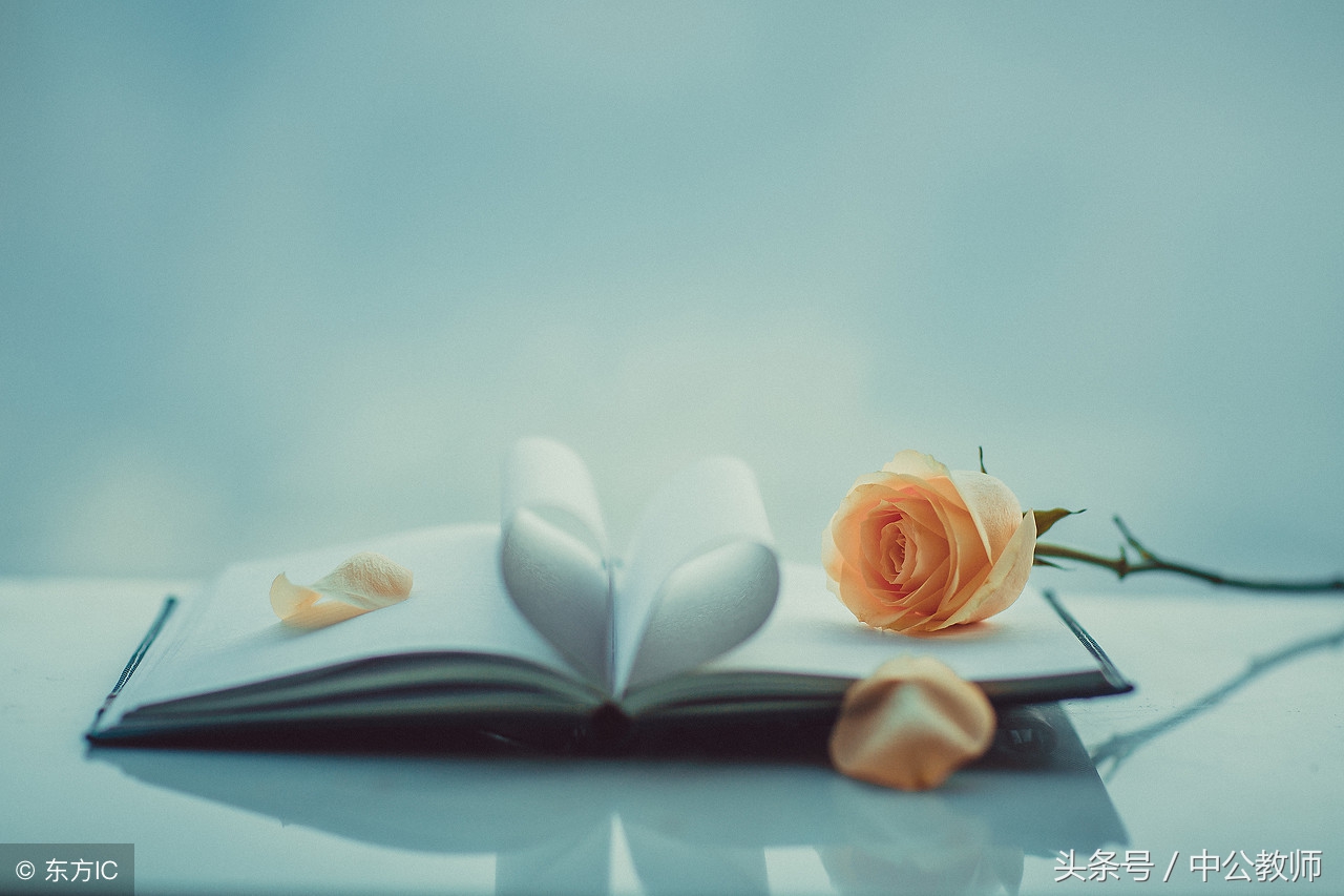 教育学考试重点整理,教育学必背考点