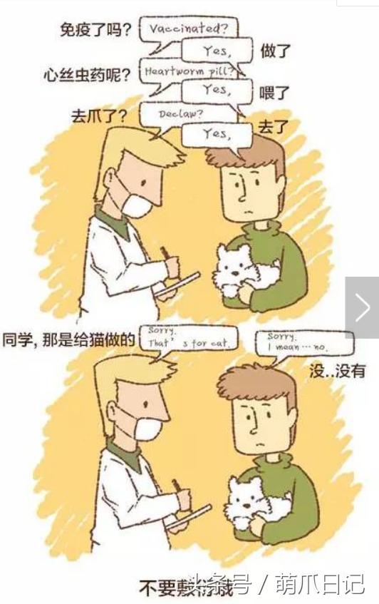 去宠物医院看病为什么这么贵,一般的宠物医院看病贵吗