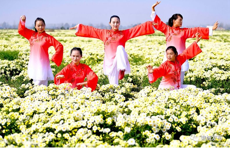 谯城区最美乡村,谯城区美丽乡村图集