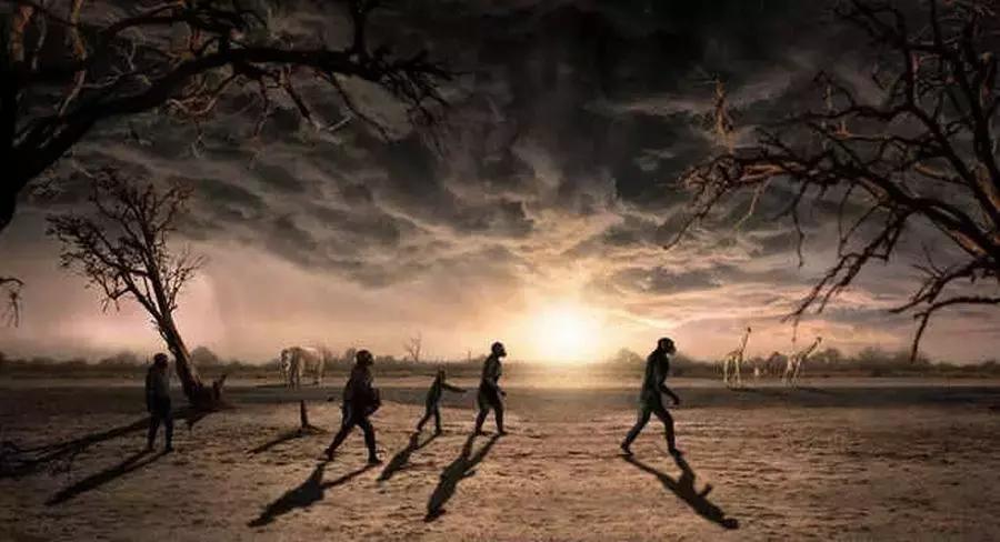 从猿进化到人的原因,从猿进化成人类的原因是什么