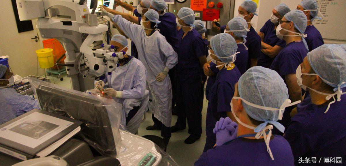 基因治疗失明最新政策,基因疗法有望让失明者重见光明