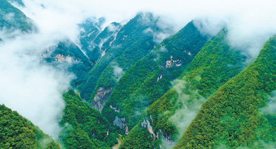 巡山日常视频,巡山的方式