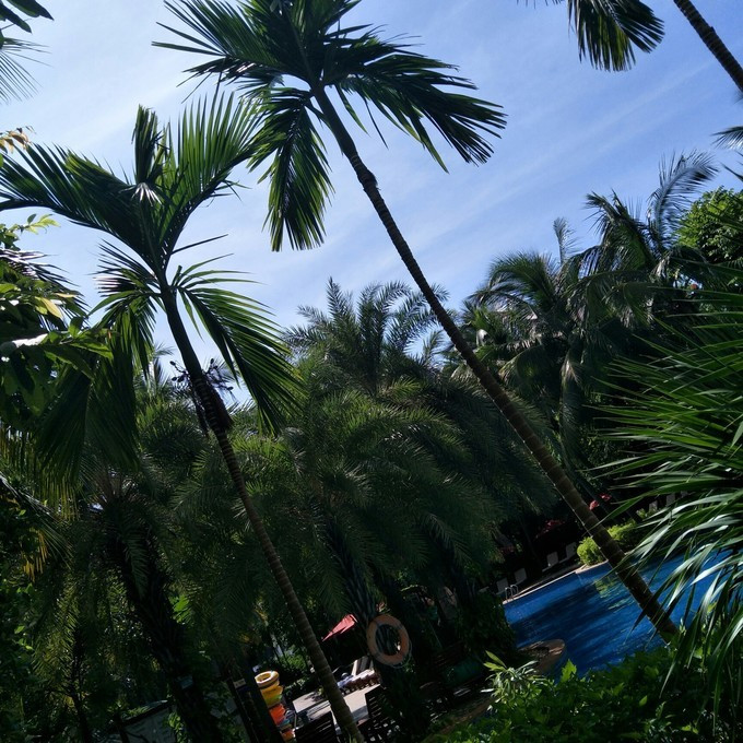 三亚自由行美食相伴攻略,三亚三日游美食