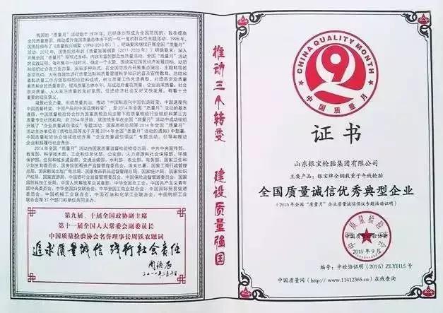 轮胎企业银宝,银宝轮胎集团简介