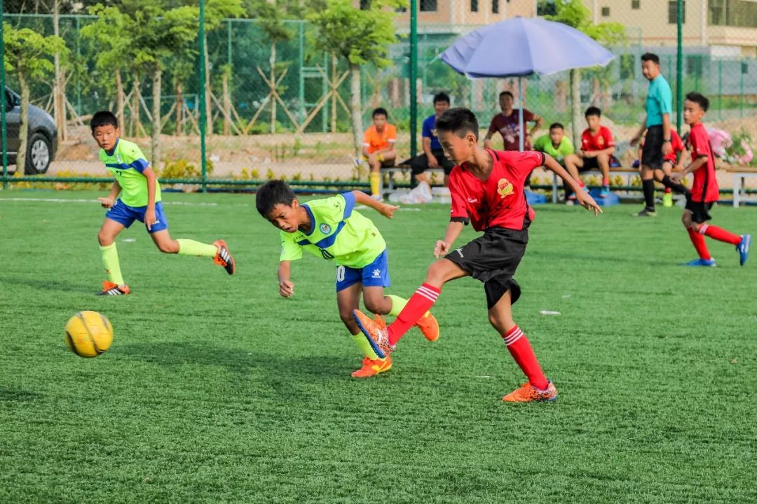 草根球员一年赚多少钱,草根球员能赚多少