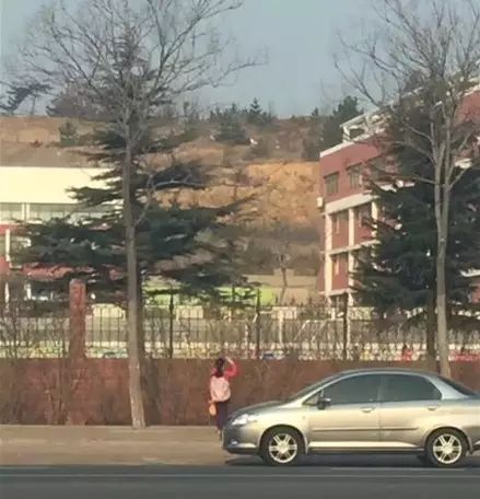 网红莉哥被封杀的原因,网红莉哥怎么又回来了