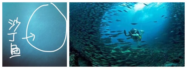 去菲律宾宿雾旅游攻略,菲律宾宿雾自由行