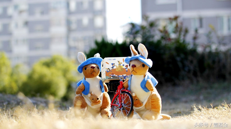 我不管，我最萌！