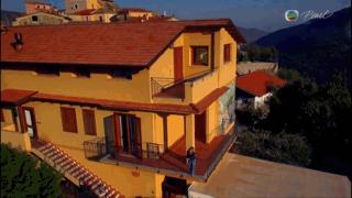 bbc全球最不健康的饮食,bbc纪录片关于健康饮食