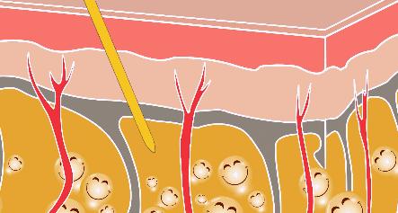 豆浆牛奶苹果汁的营养,适合春天喝的营养豆浆