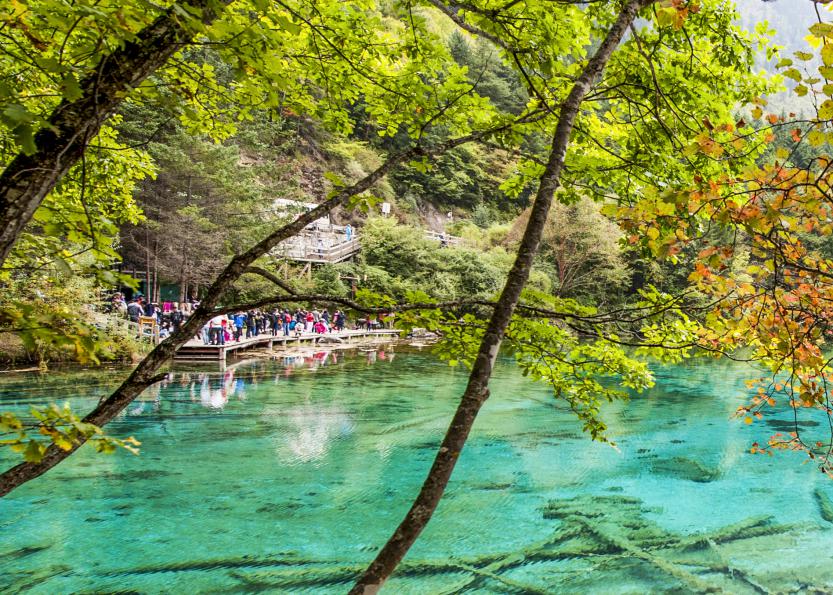 九寨和黄龙旅行,九寨黄龙峨眉乐山