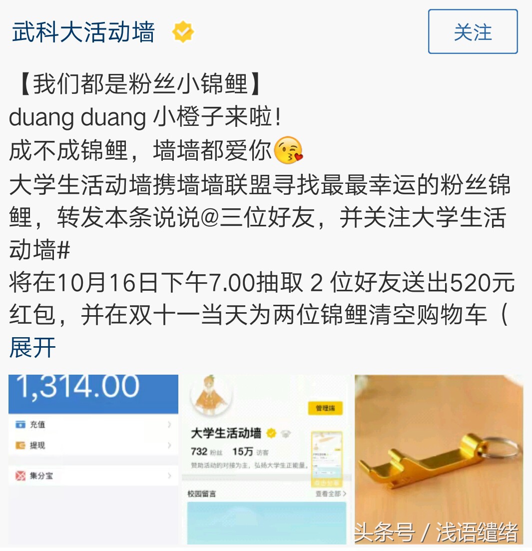 此次支付宝锦鲤营销的赢家有谁,支付宝锦鲤活动怎么引起轰动