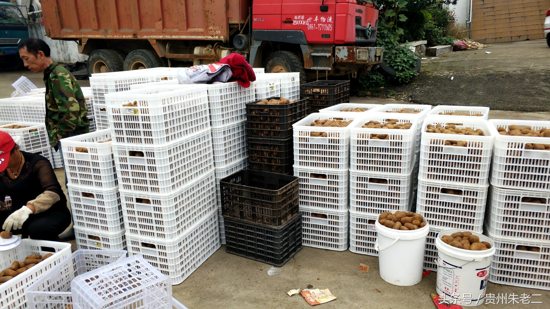 助农增产增收增效益,助农增收新型产业