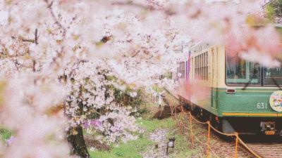 小学英语常用的重要短语大集合,小学英语必背重点句型给孩子收藏