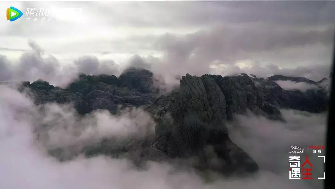 不撕吊牌衣服,不撕吊牌的衣服