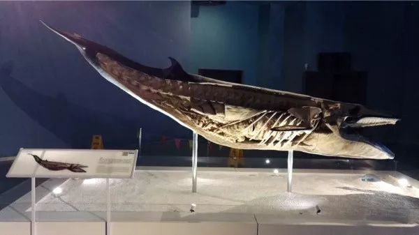 时装周活动表 (上海时装周秋冬2022时间表)