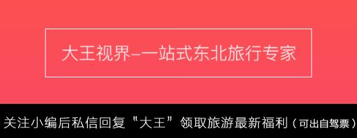 雅加达机场免税店必买清单,成田机场免税店购物必买清单