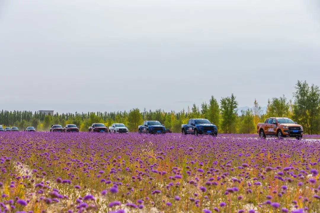 “失联”的2天里，车叔竟完成对美式皮卡生活的所有幻想