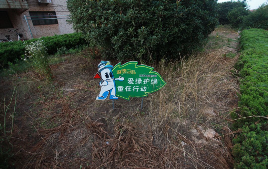 美了美了钢琴曲二胡,美了美了越南红歌