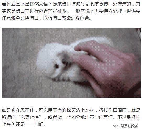 伤口结痂很痒忍不住抓,伤口痒又不敢抓