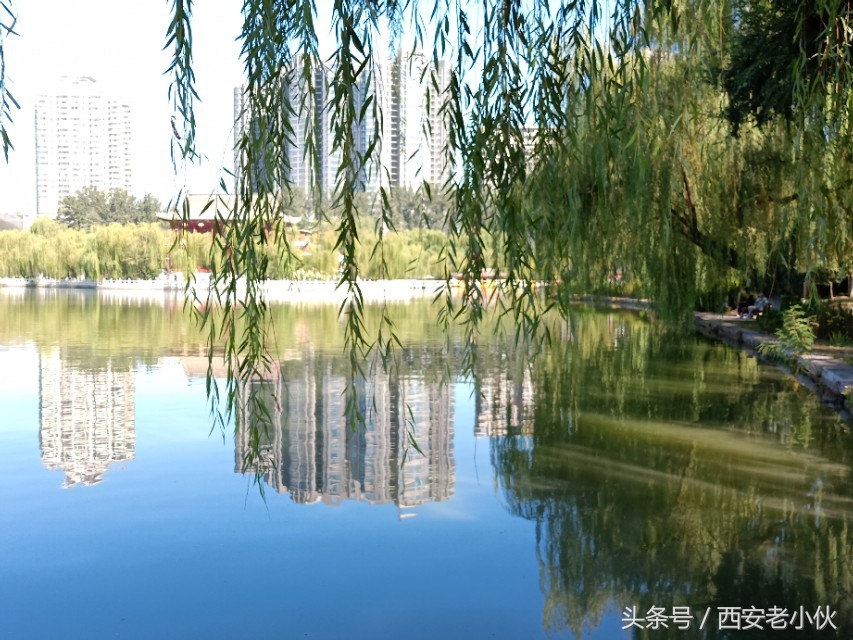 西安兴庆公园合唱团直播,西安兴庆公园歌手