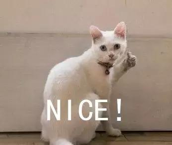 黑龙江绥化网警电话,95开头的推销诈骗电话